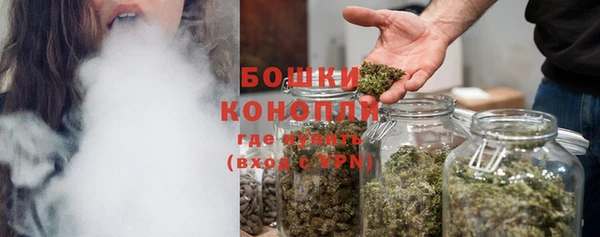 spice Кинешма