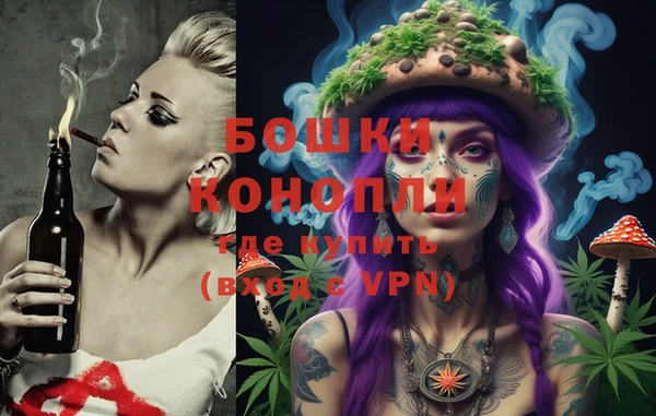 spice Кинешма