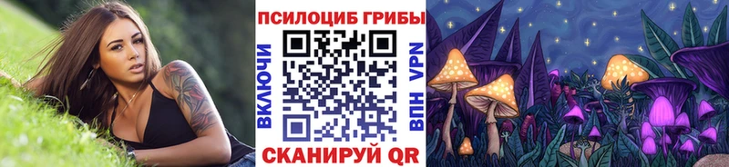 Купить закладки  Александров  Псилоцибиновые грибы мухоморы 